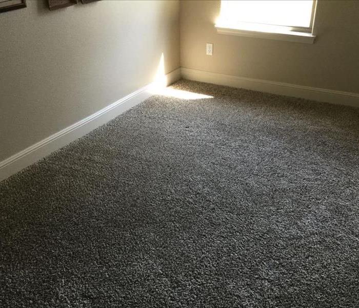 Wet Carpet and Baseboards