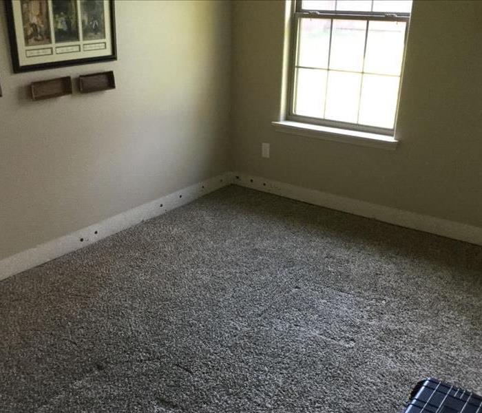 Dried Carpet with Baseboards removed