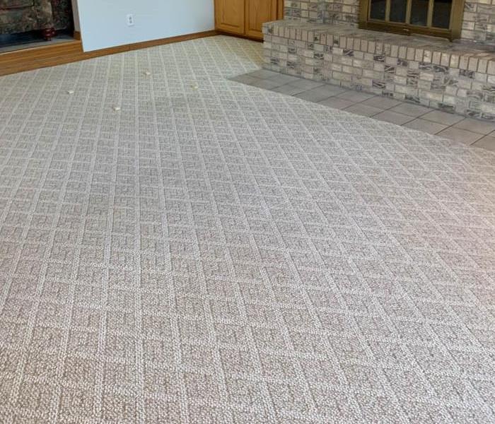 Carpet cleaned up in living room
